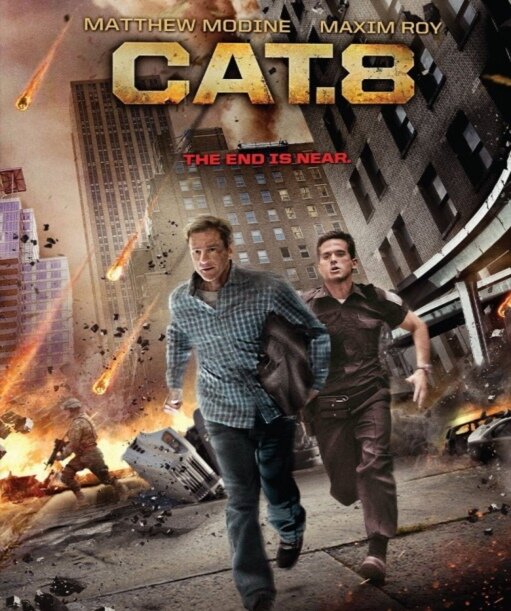 CAT. 8 (2013) постер